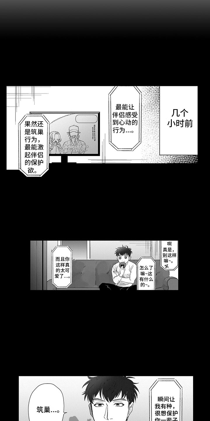 第21章：命中注定14
