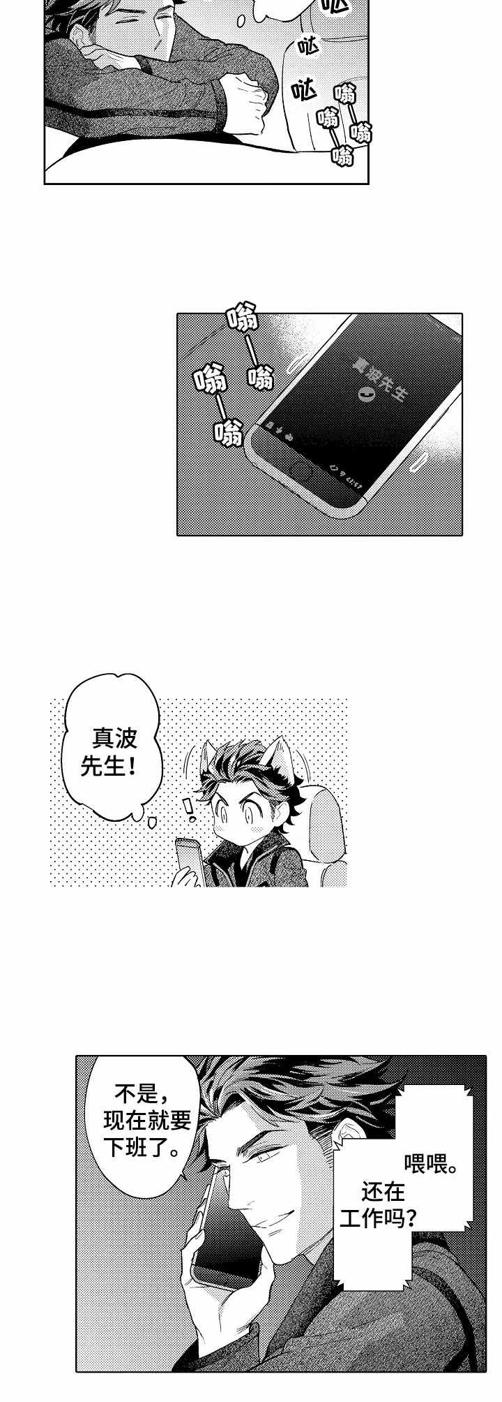 第13章：主动2