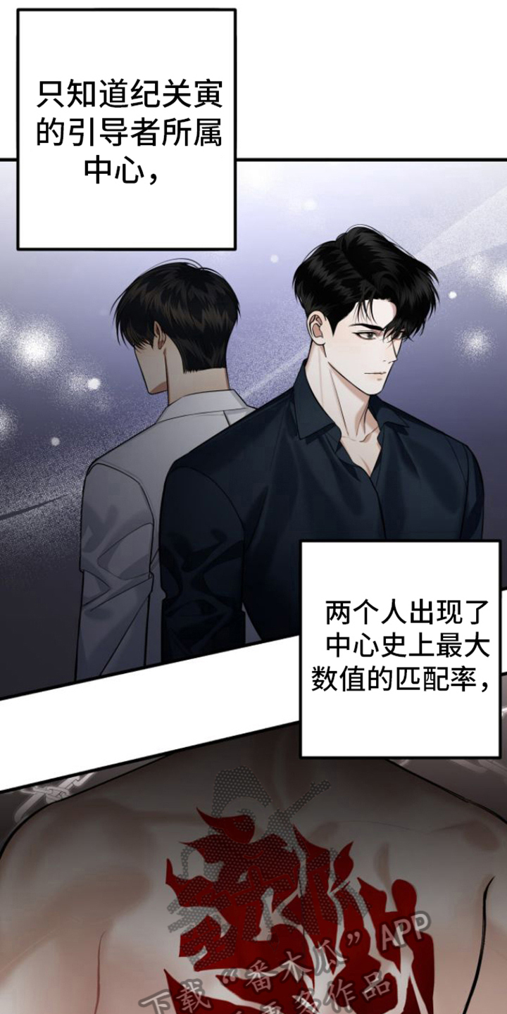 第19章：了解11