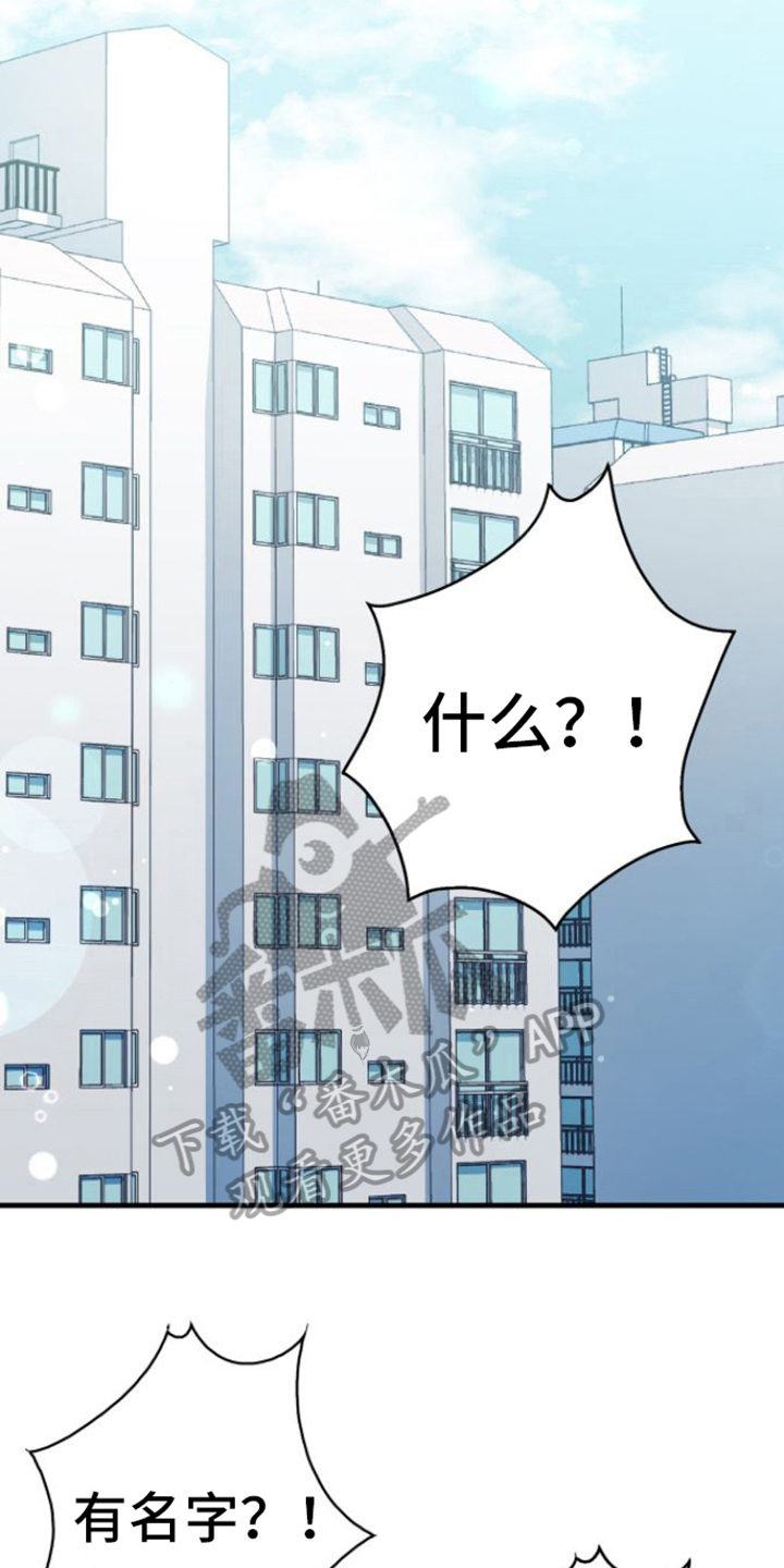 第8章：名字12