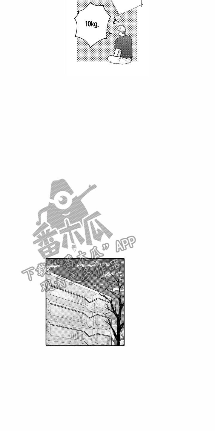 第29章：胡思乱想12