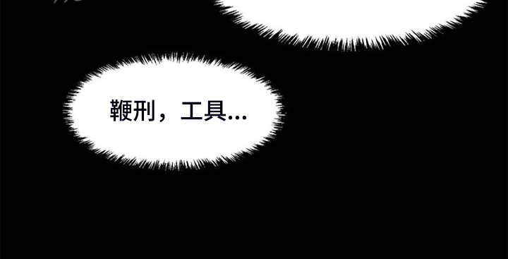 第46章：幻想11