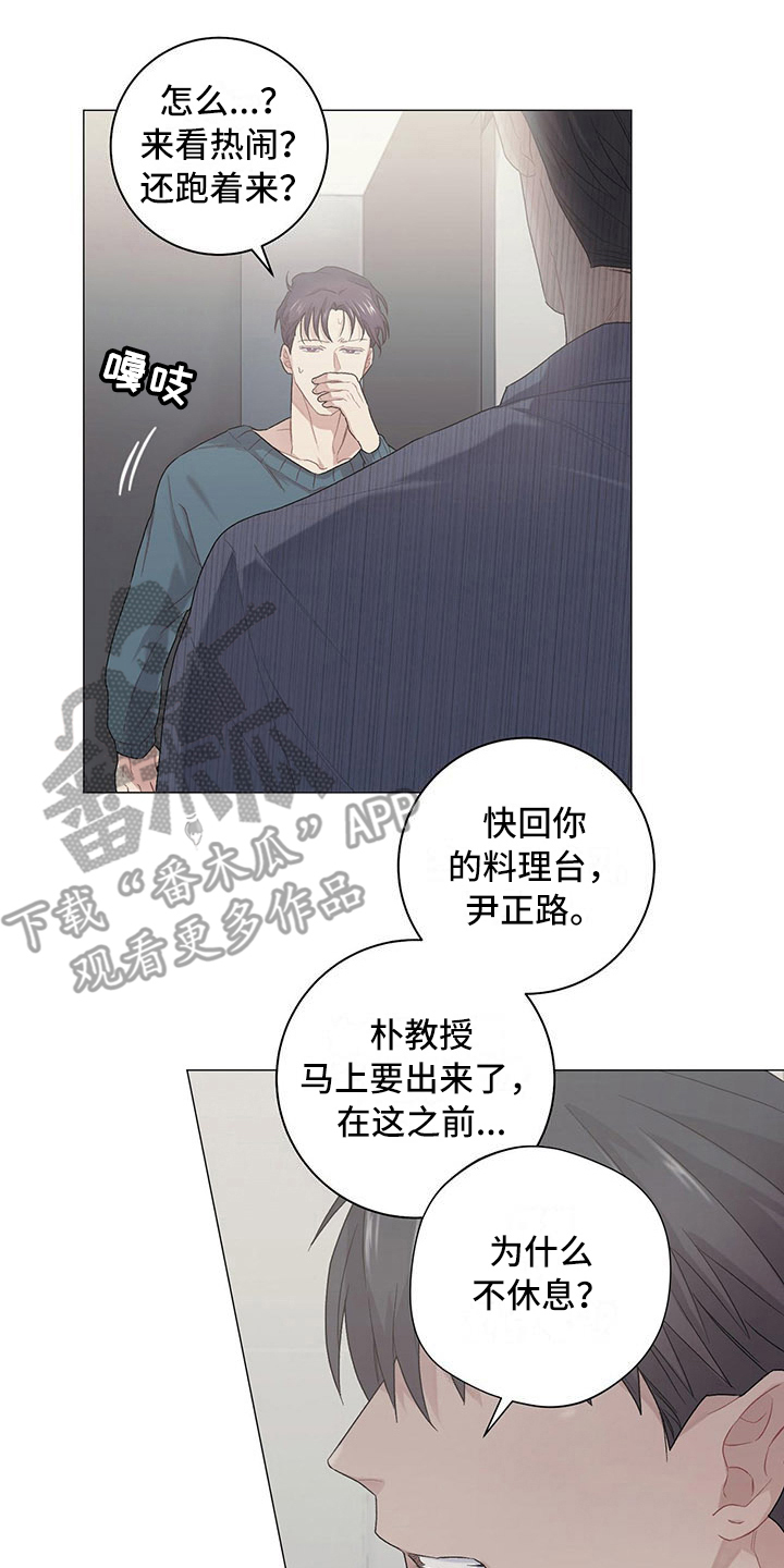 第13章：分歧12