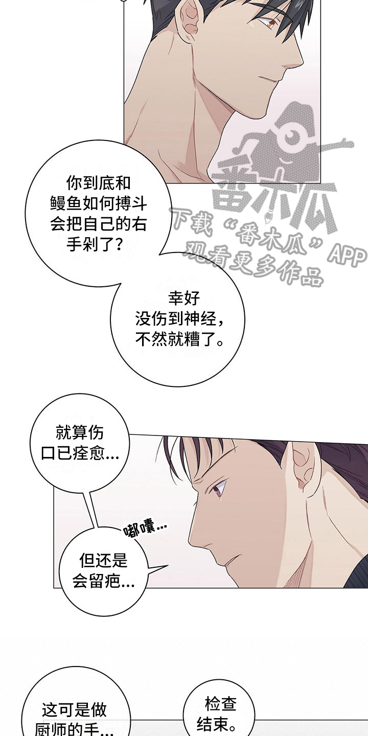 第21章：伤疤12