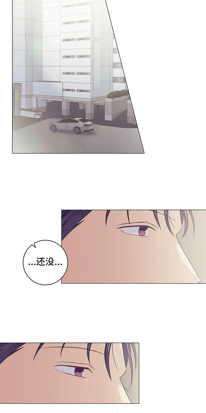 第17章：一起回去6