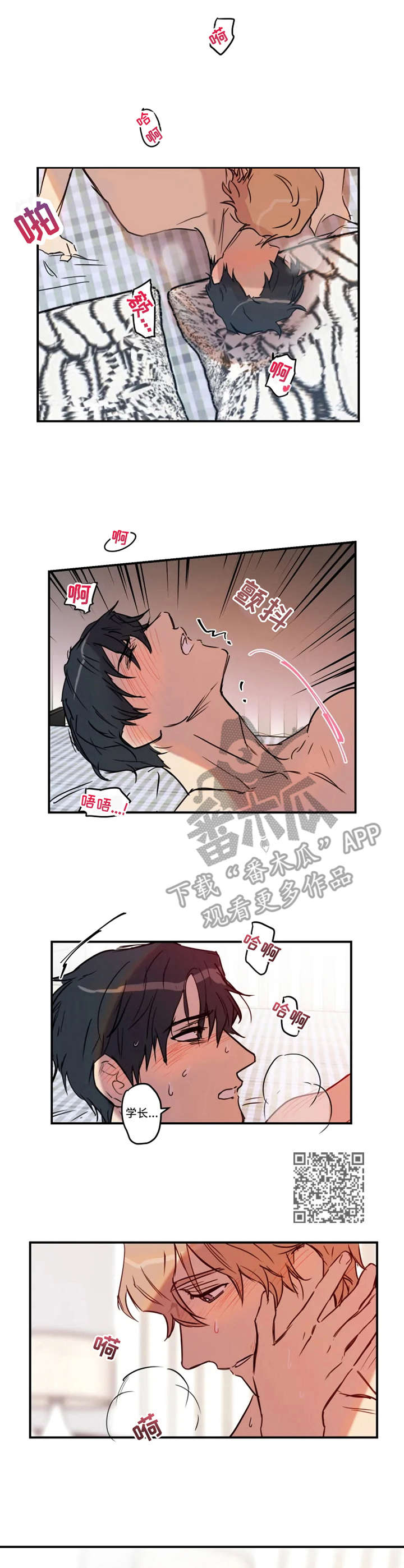 第29章：表态4