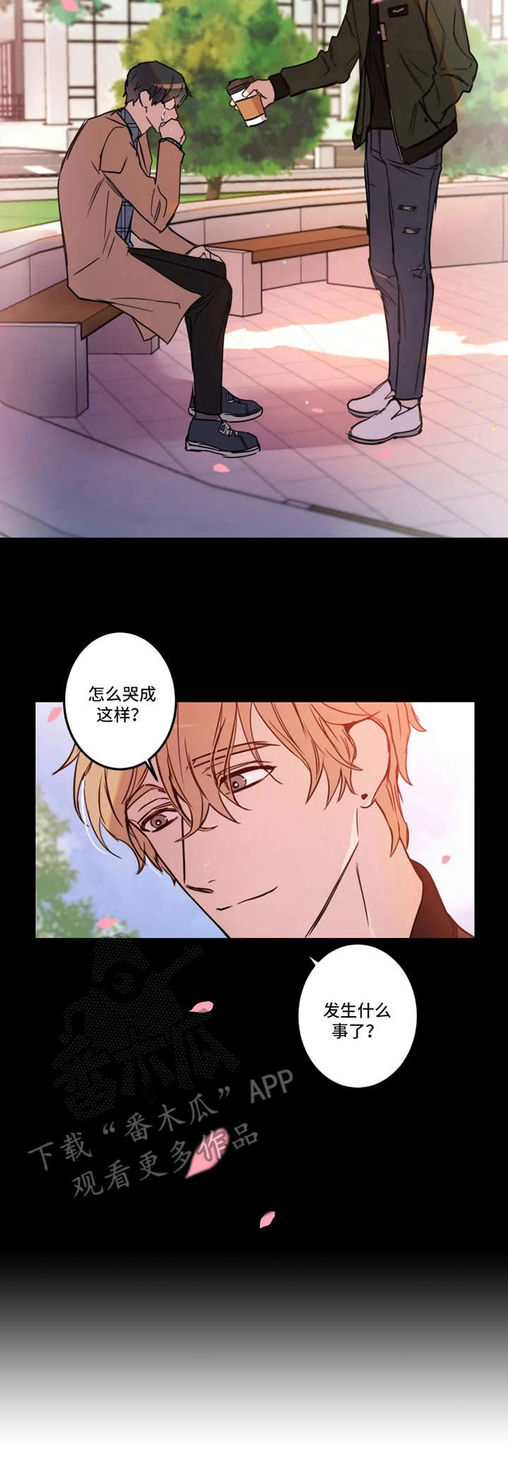第28章：缘由6