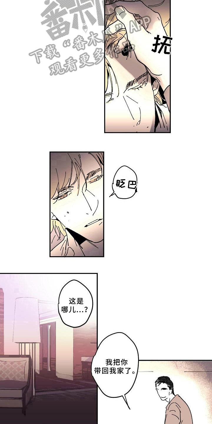 第18章：清醒10