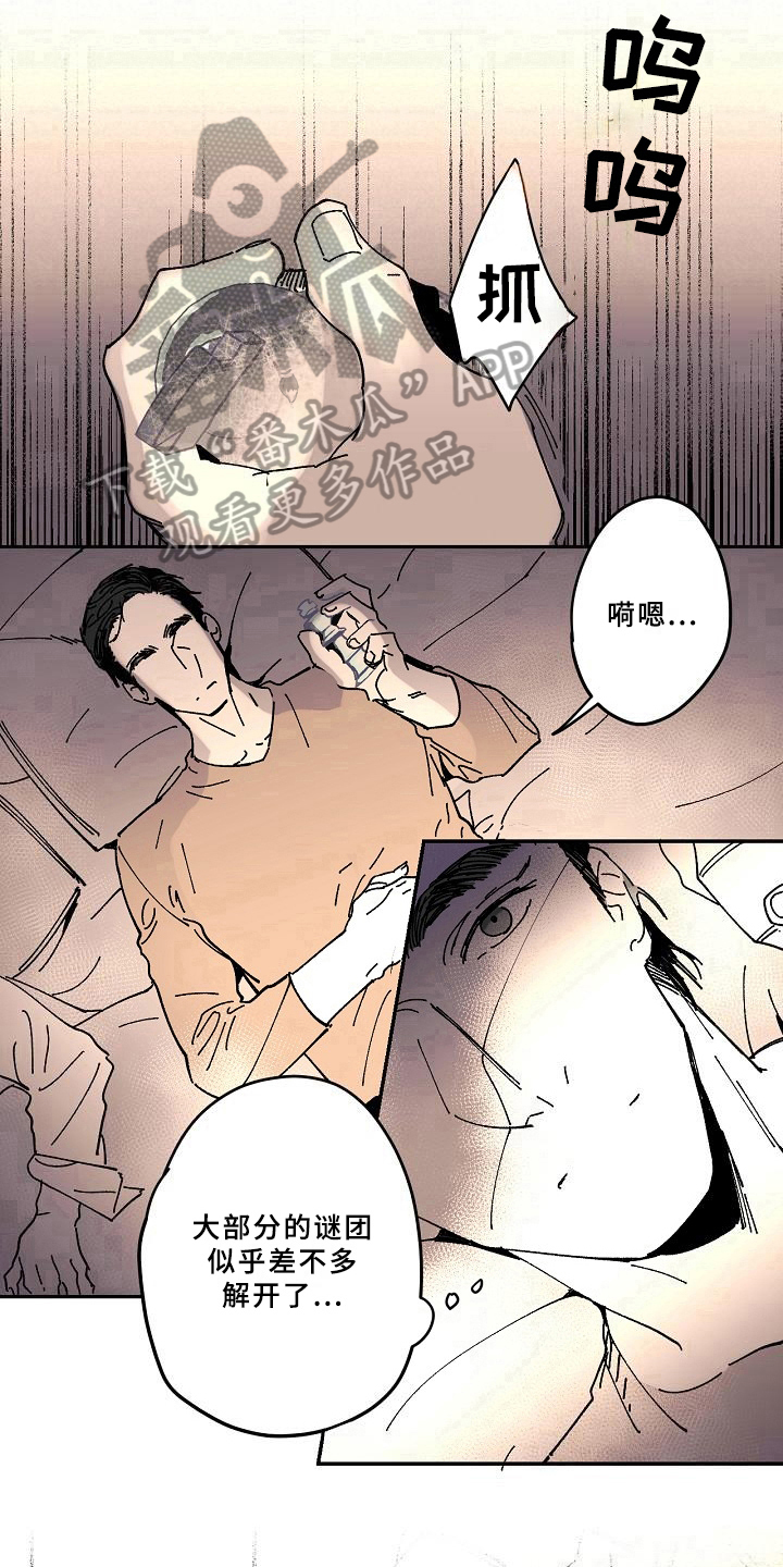 第19章：亲自了解12