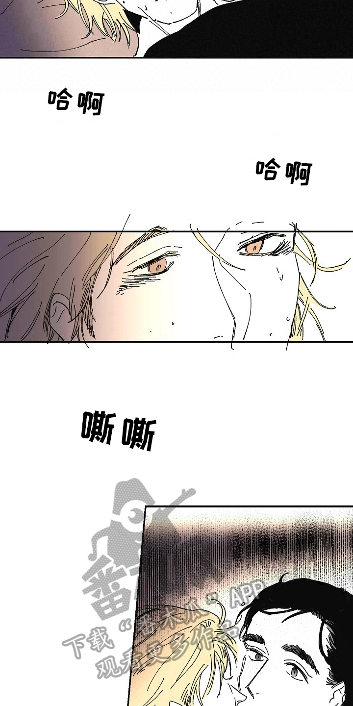 第21章：依赖5