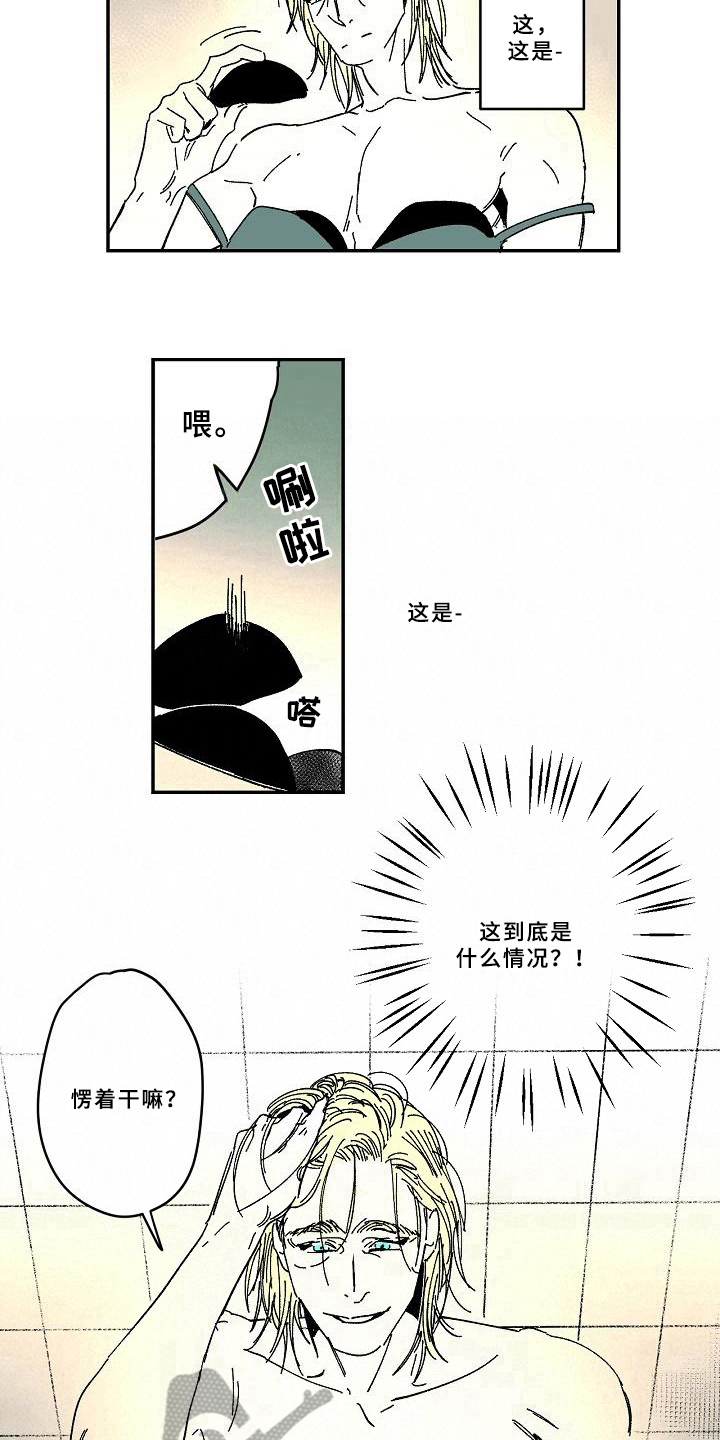 第35章：爱好9