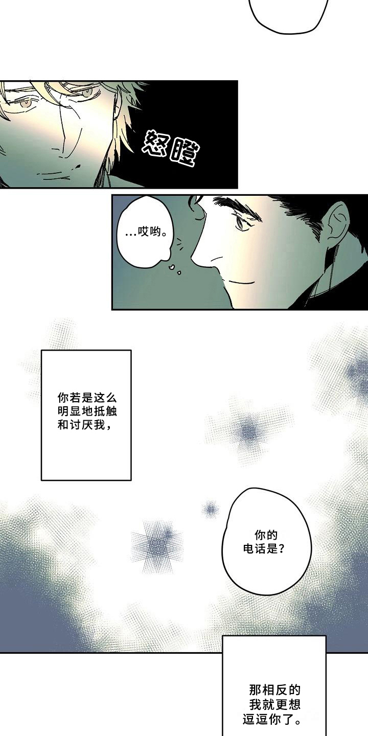 第28章：猜测3