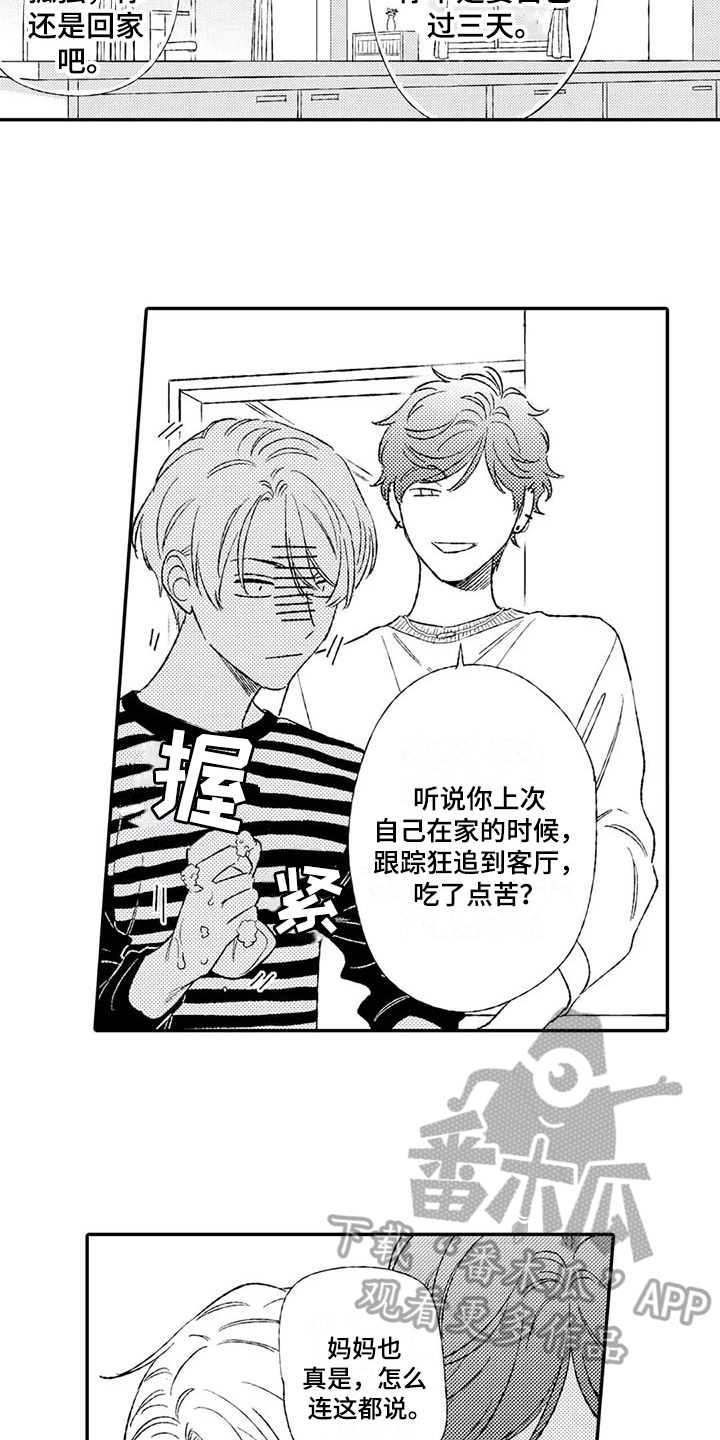 第11章：猜测13