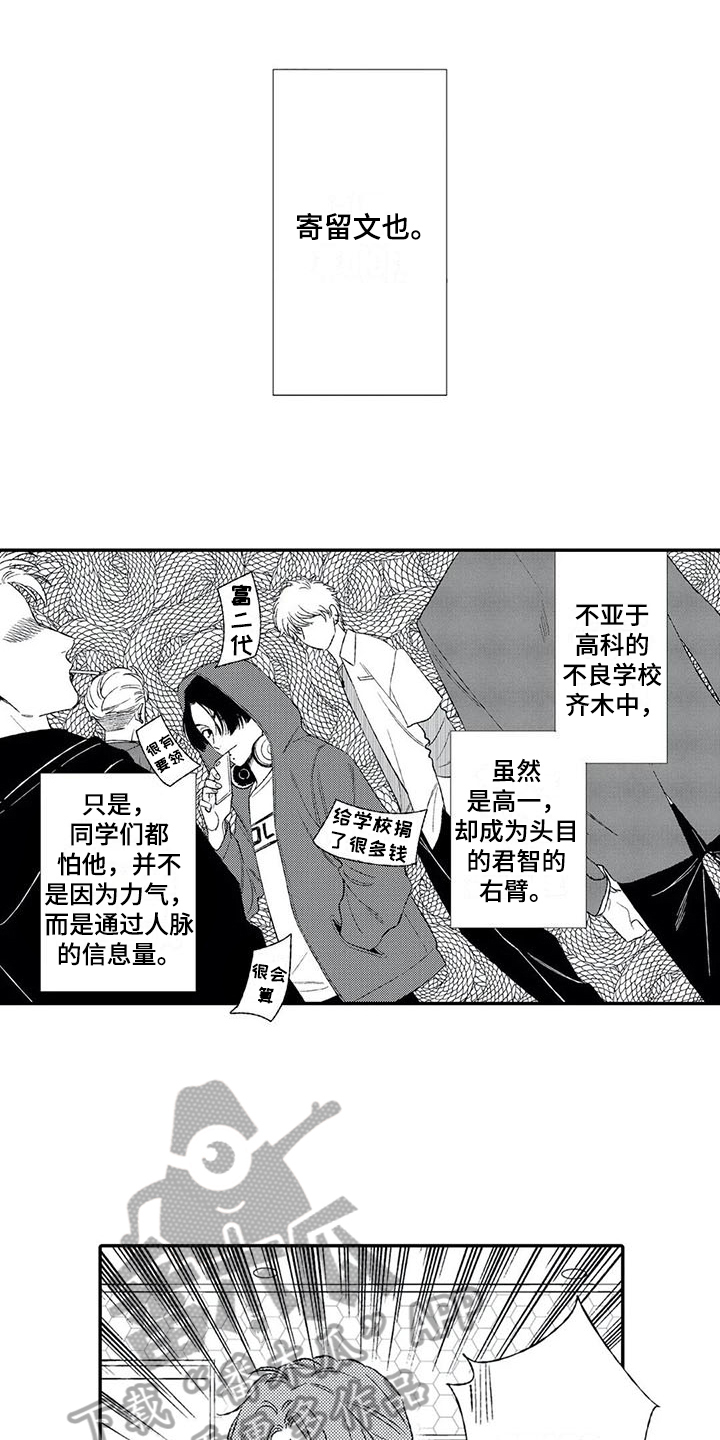 第11章：猜测0