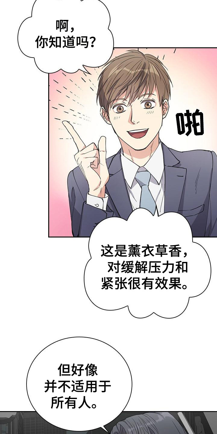 第4章：薰衣草香14