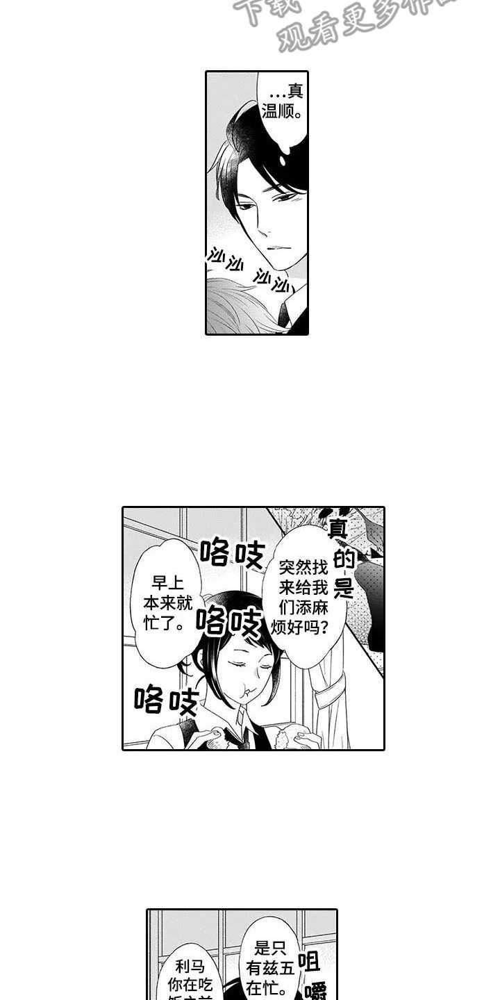 第6章：安慰12