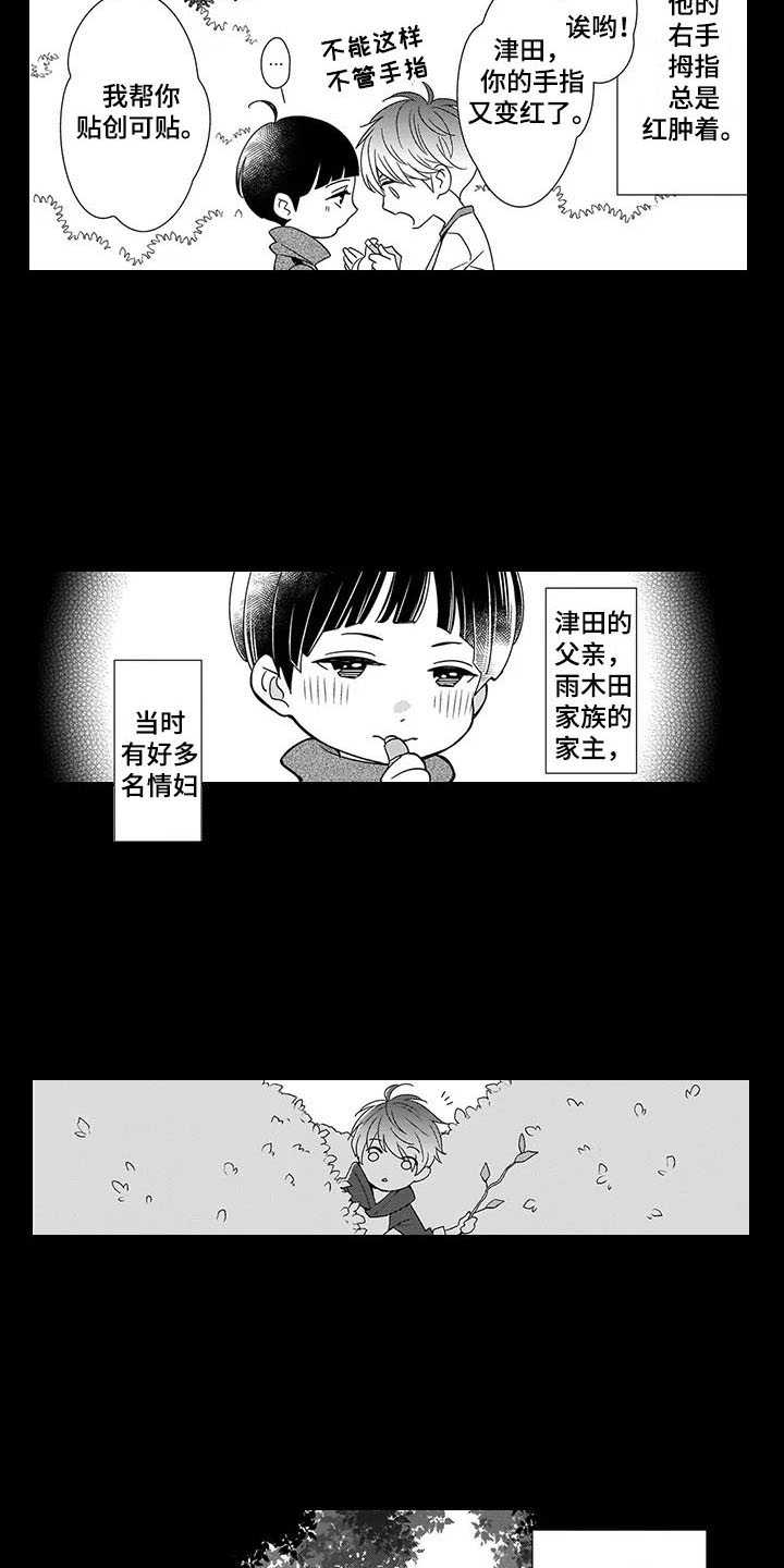 第3章：世界的全部1