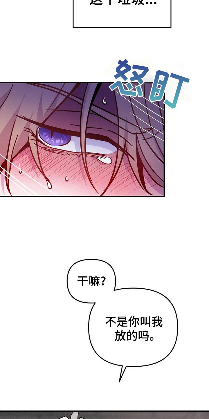 第13章：是只疯狗20