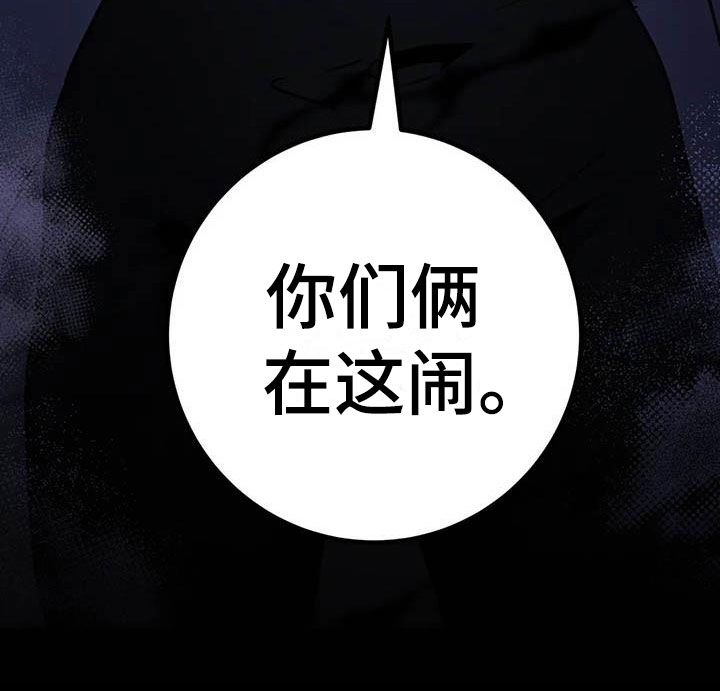 第20章：两度昏迷40