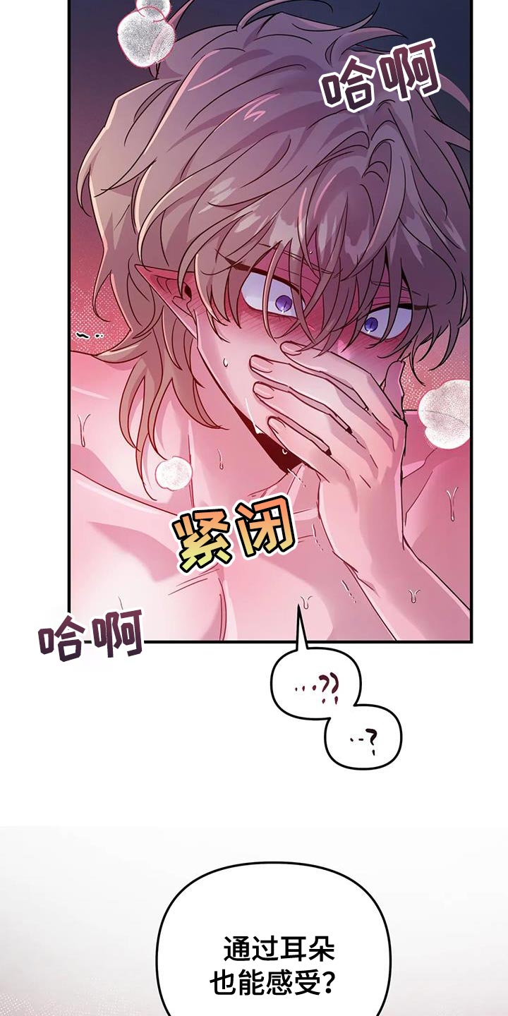 第53章：【第二季】宠物13
