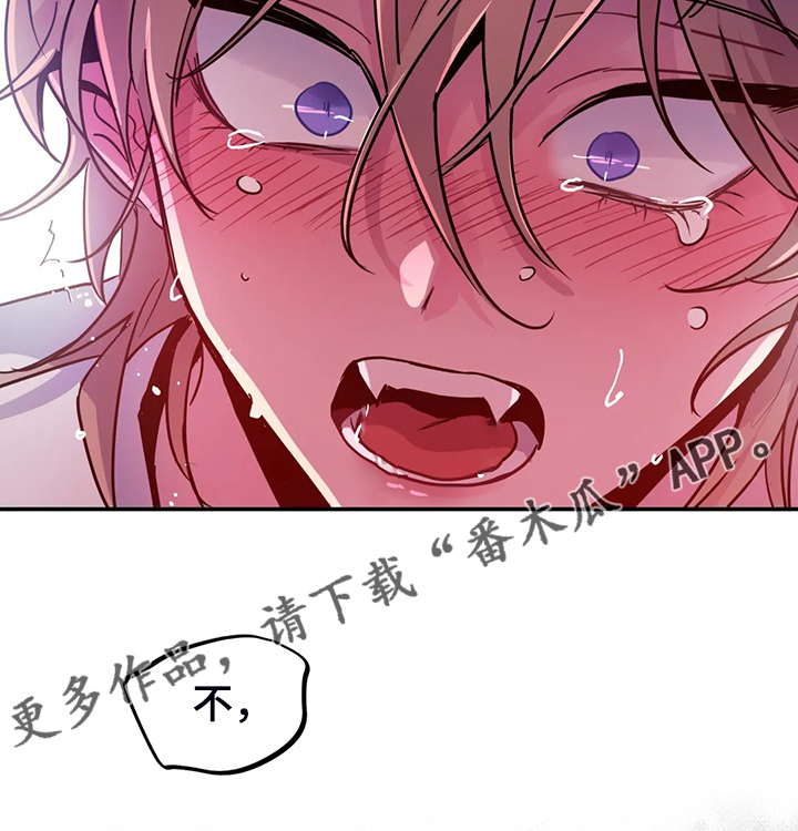 第28章：一定加倍还你24