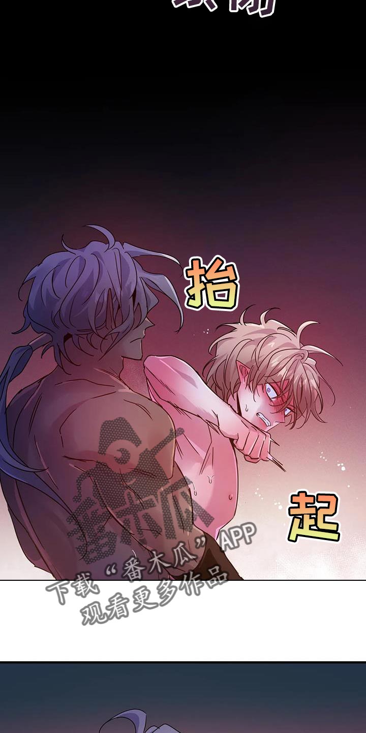 第53章：【第二季】宠物19