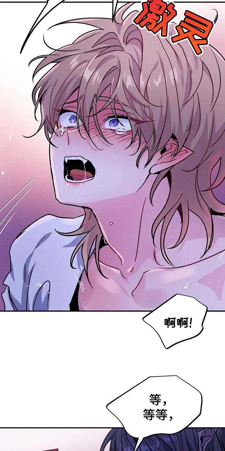 第35章：强制5