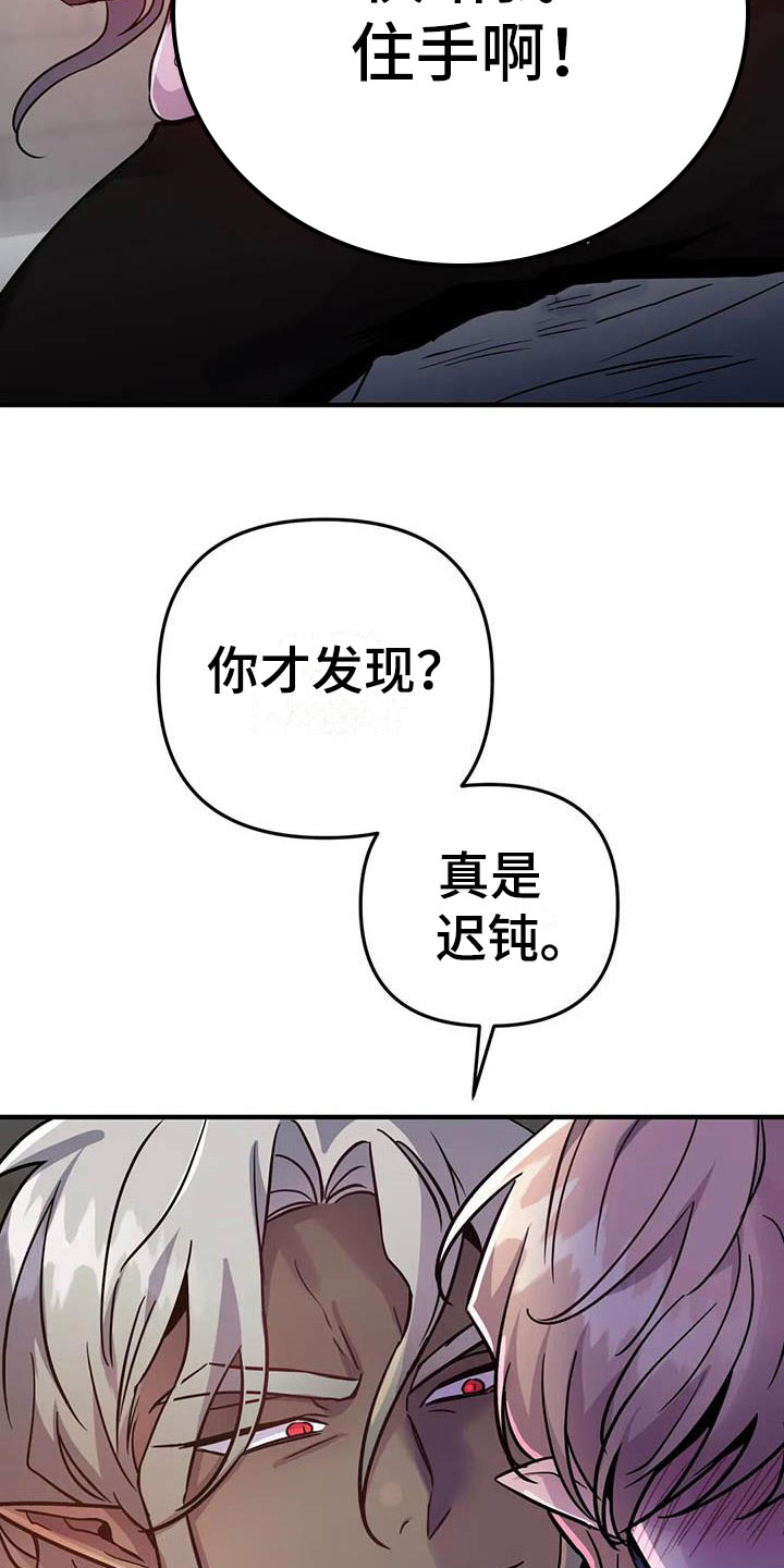 第13章：是只疯狗11