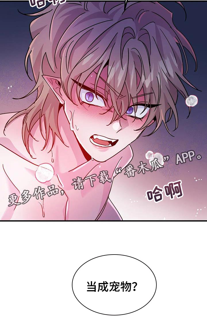 第53章：【第二季】宠物22
