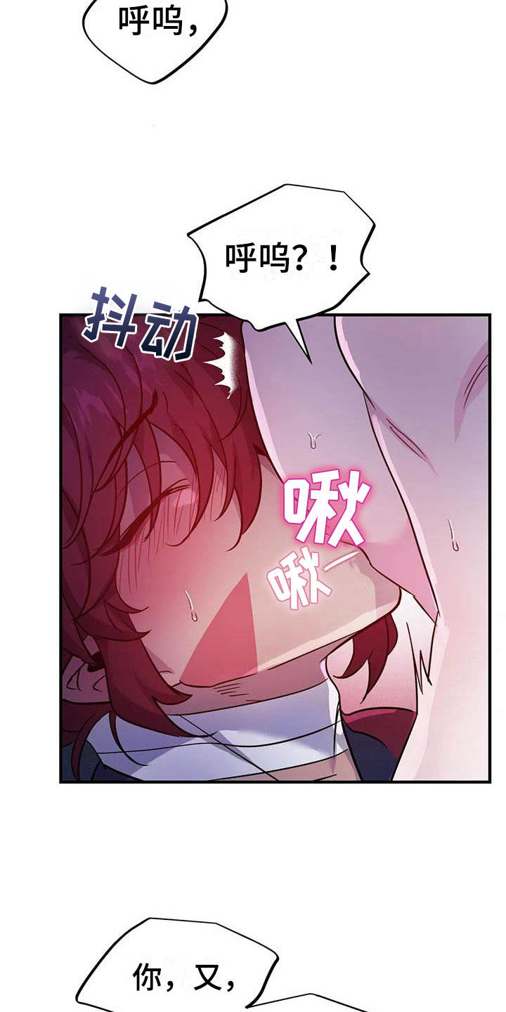 第20章：两度昏迷21
