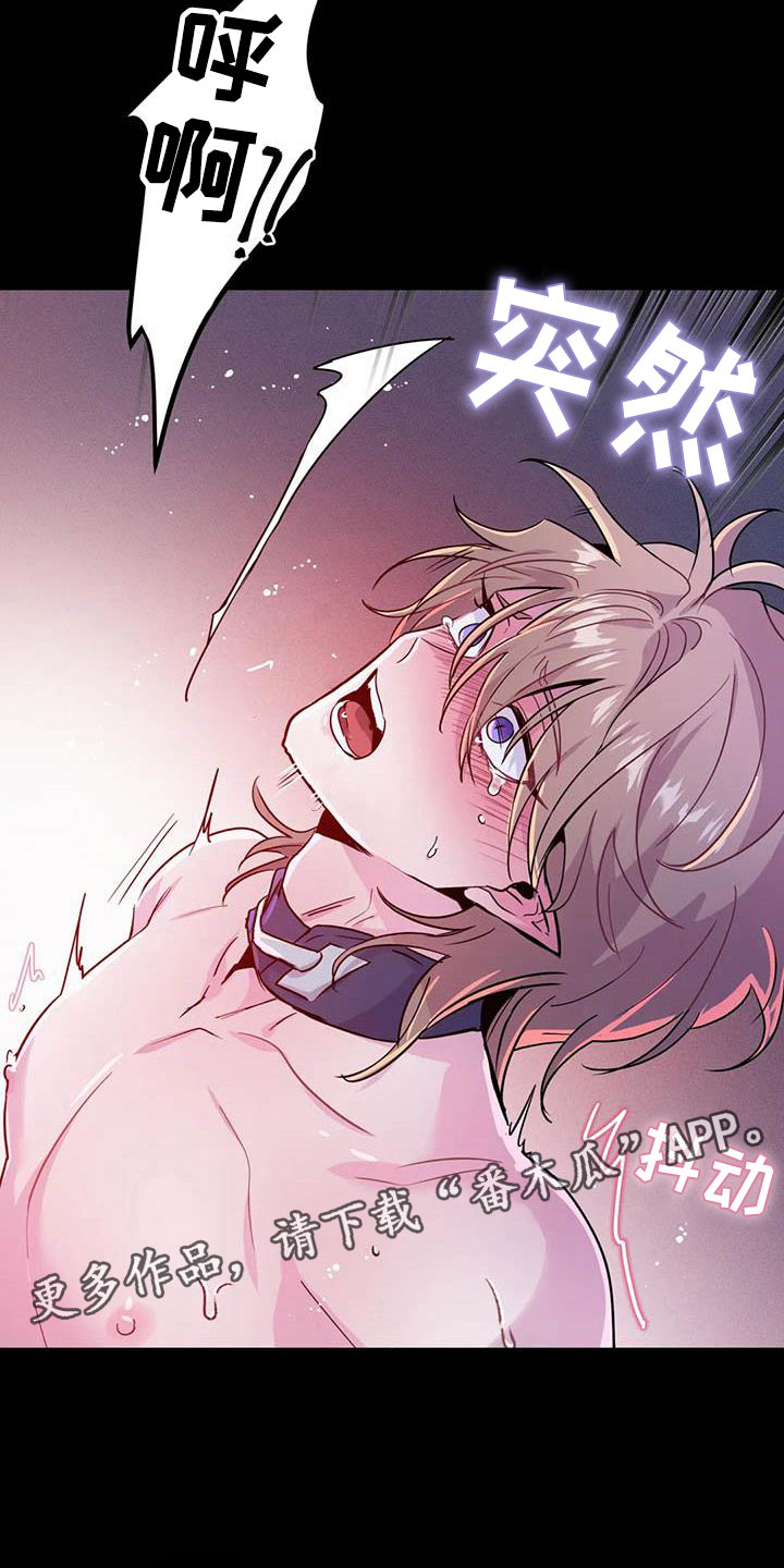 第18章：疯狂的小狗34