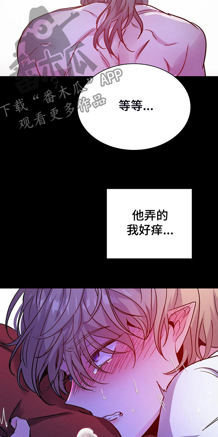 第34章：脑子一定坏掉了19
