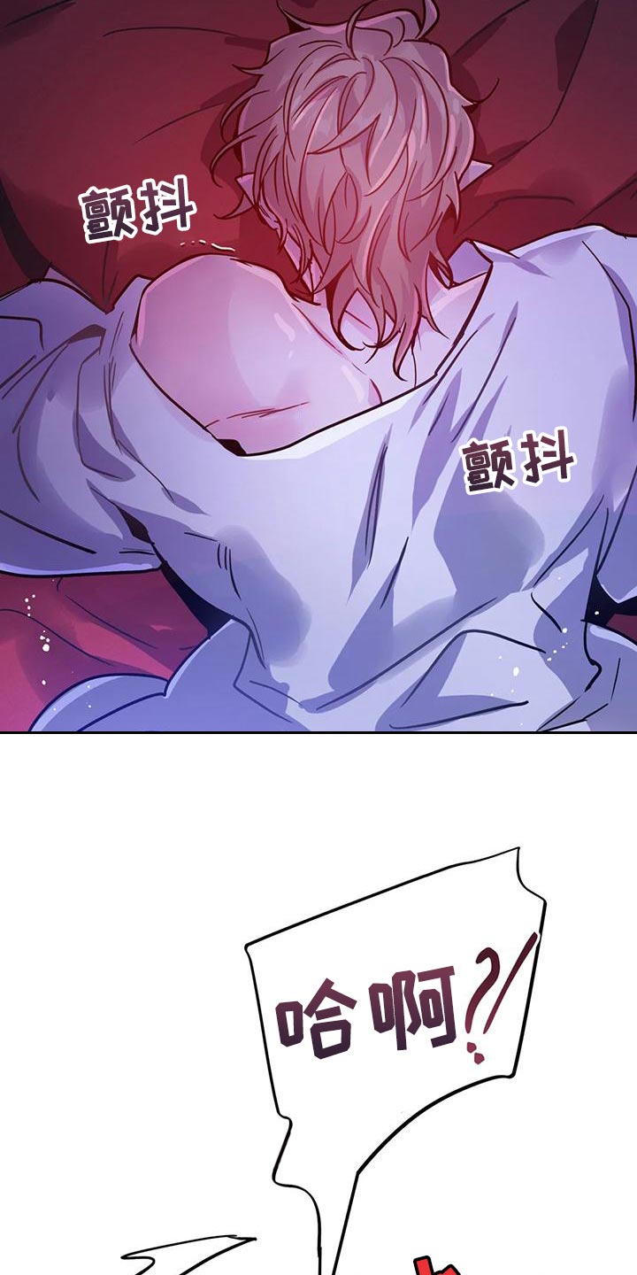 第35章：强制4
