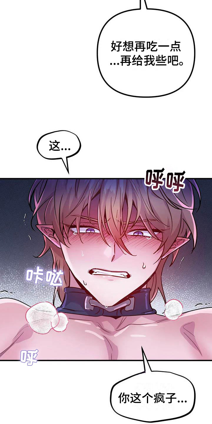 第17章：开罐时刻5