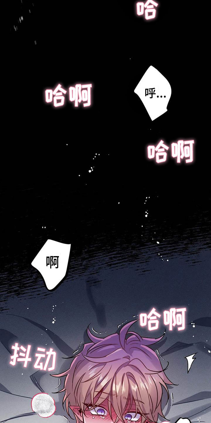 第18章：疯狂的小狗10