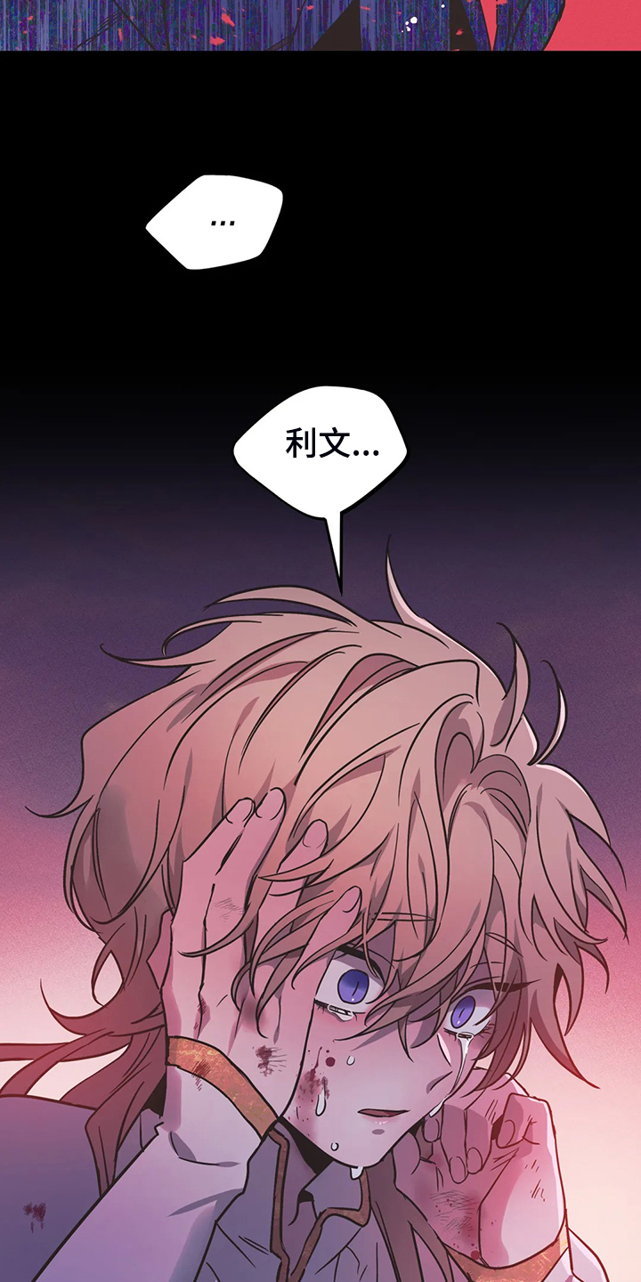 第27章：我的记忆17