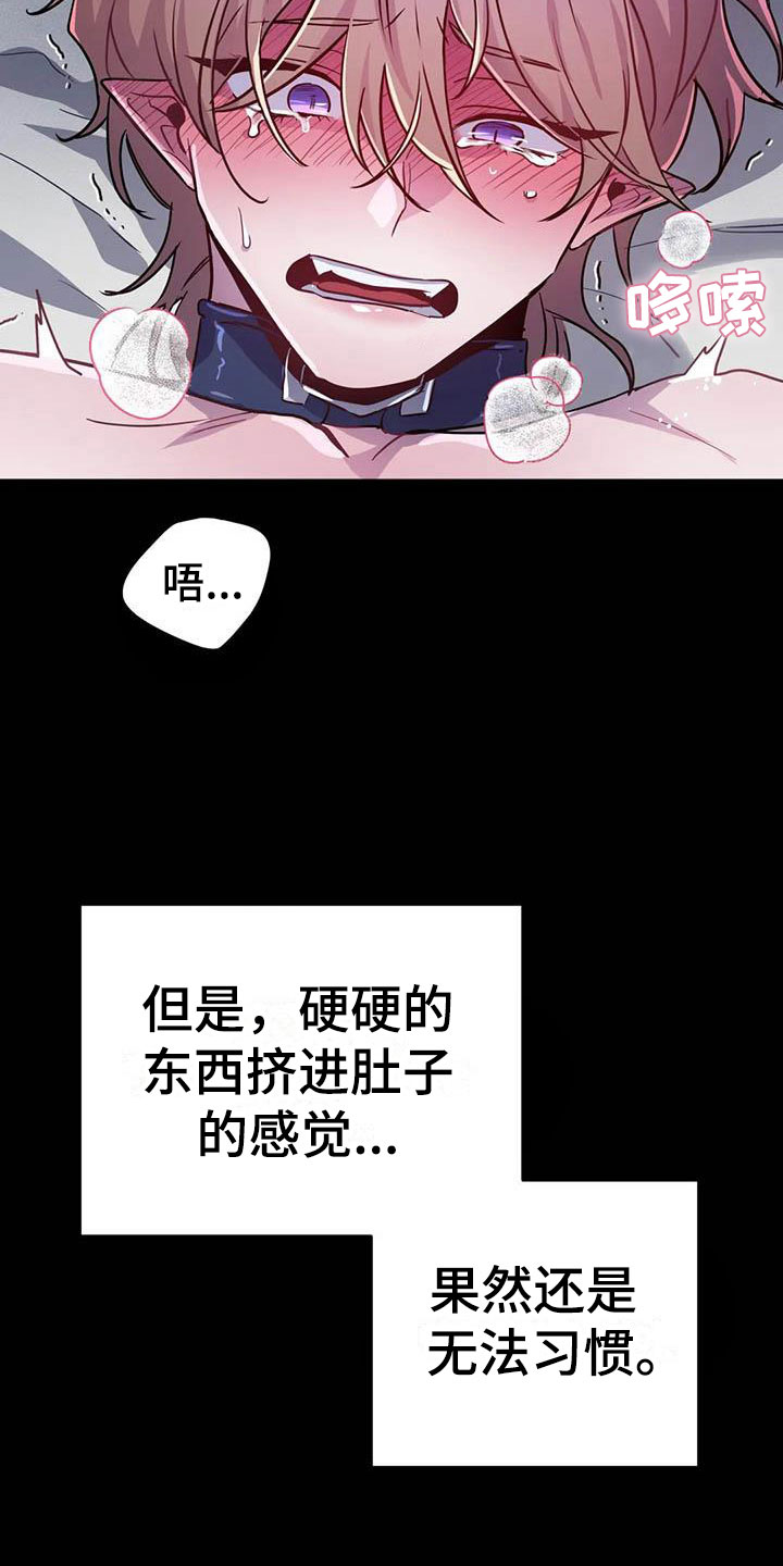 第18章：疯狂的小狗12