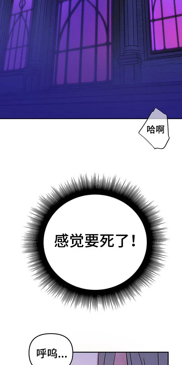 第3章：惊异的消息24
