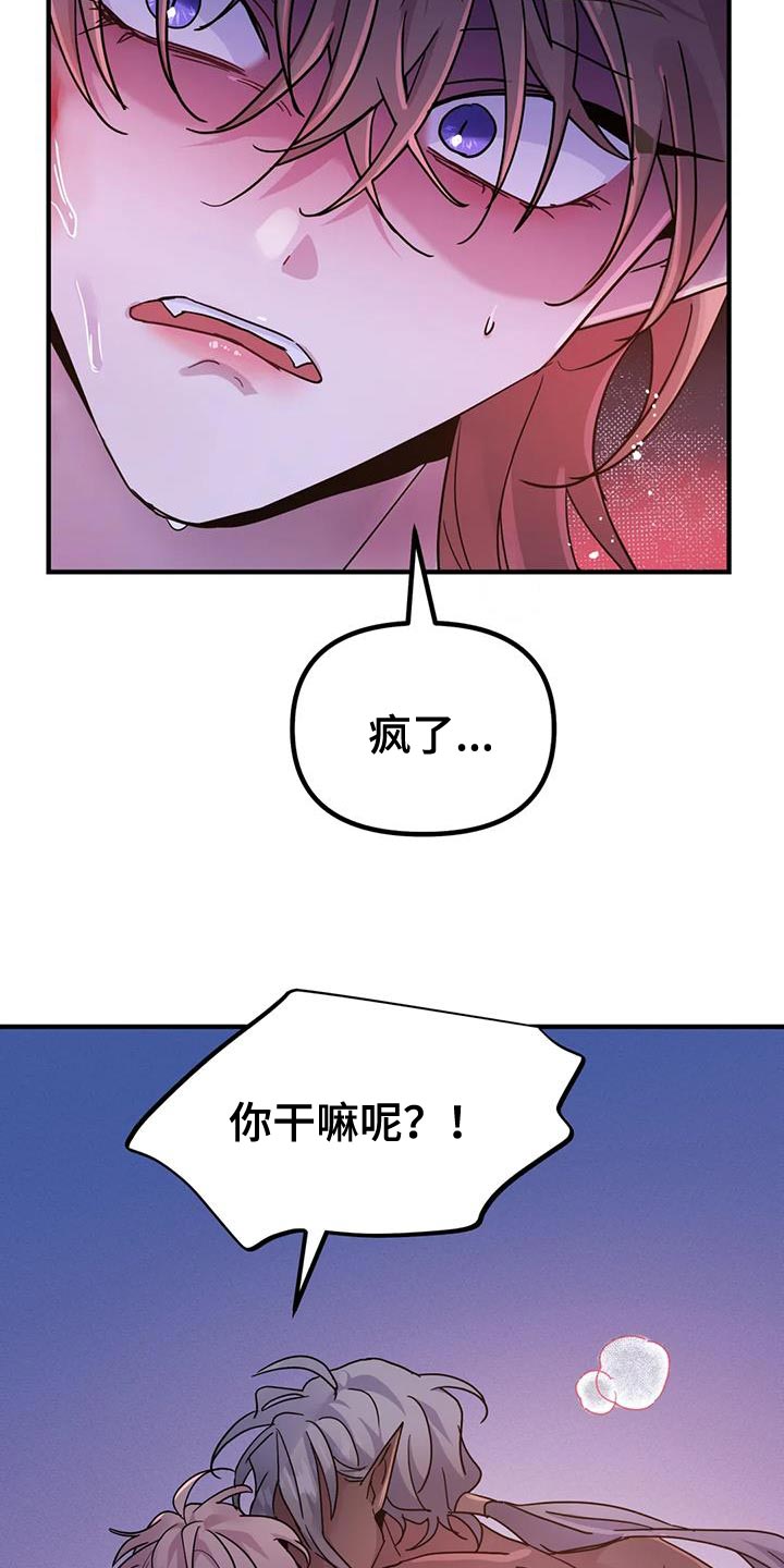 第53章：【第二季】宠物9