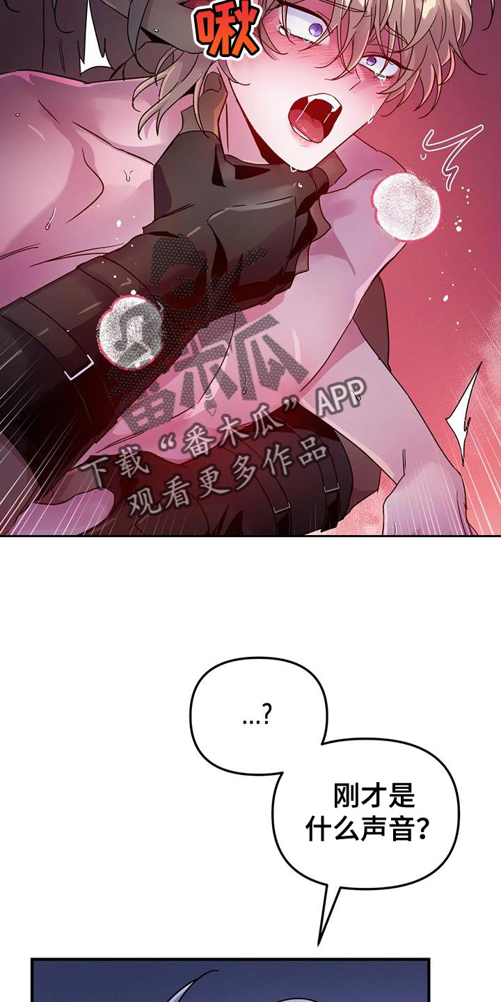 第53章：【第二季】宠物11