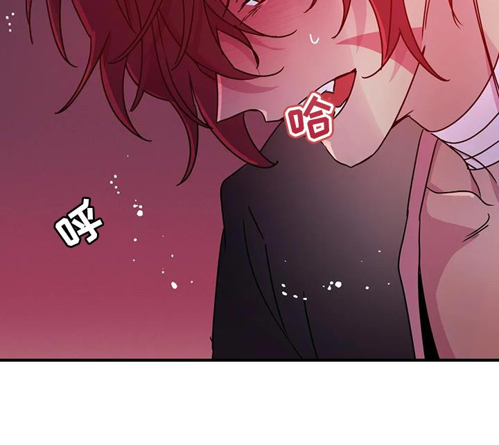 第63章：【第二季】一切都很完美13