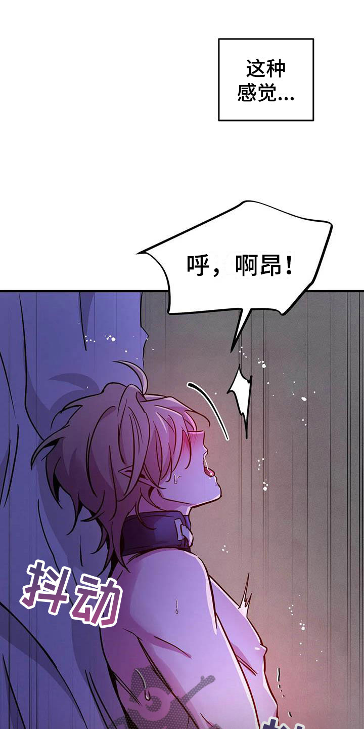 第9章：认清处境15