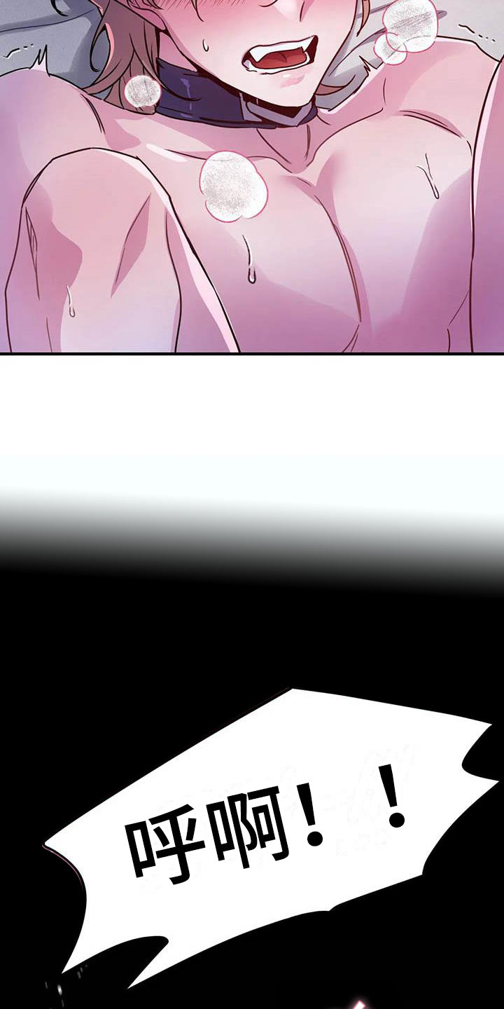 第18章：疯狂的小狗9