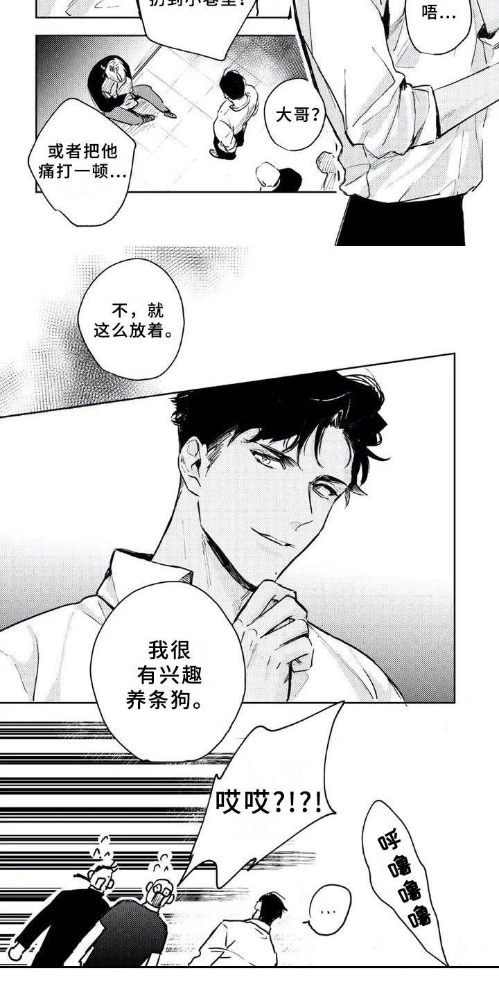 第3章：收留7