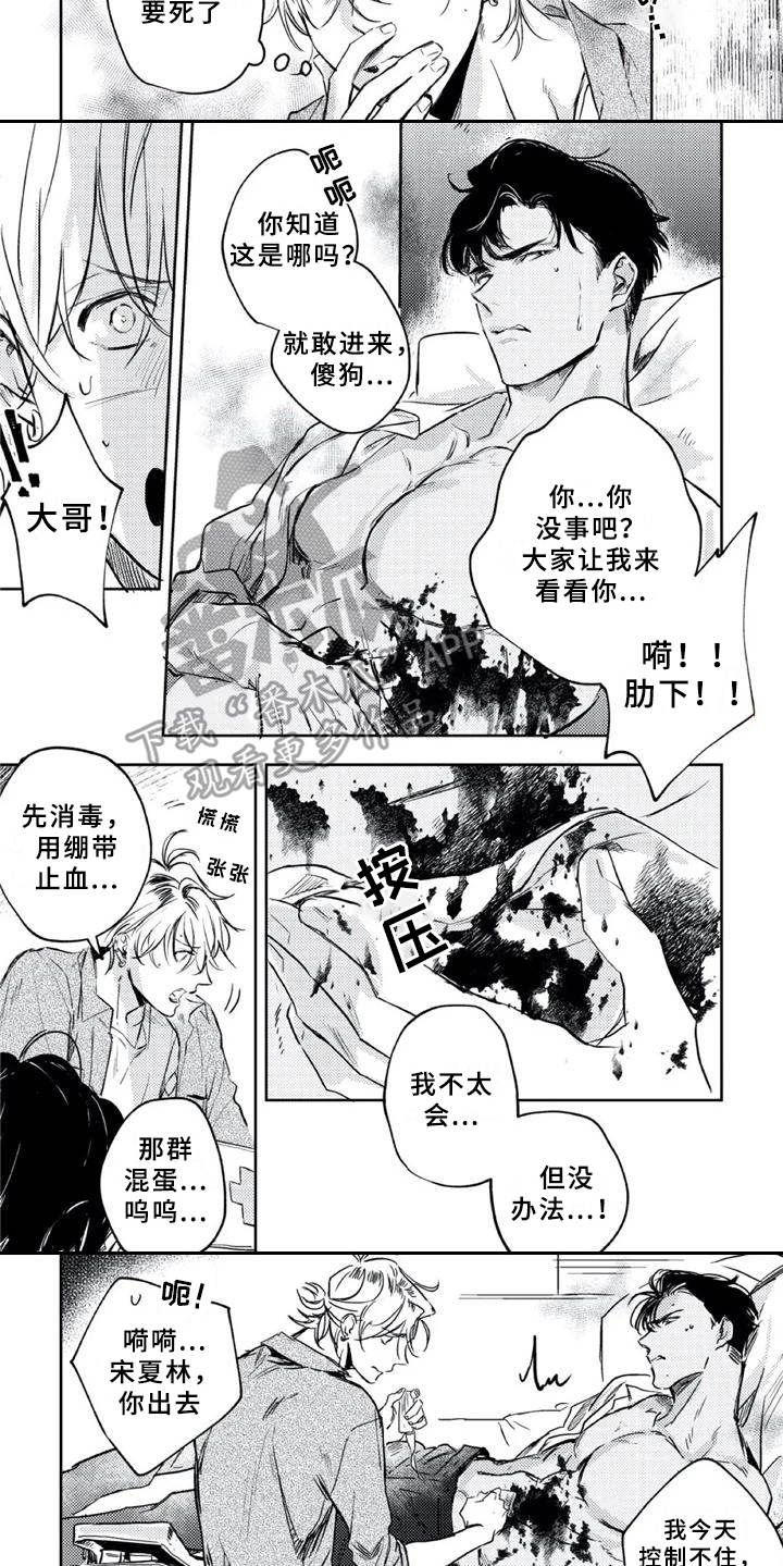 第6章：疗伤5