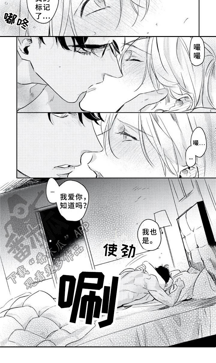 第21章：标记10
