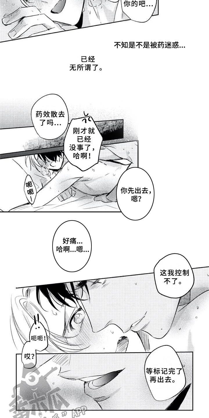 第21章：标记8