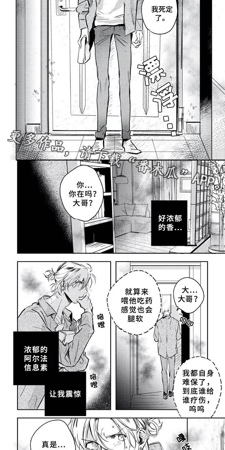 第6章：疗伤4