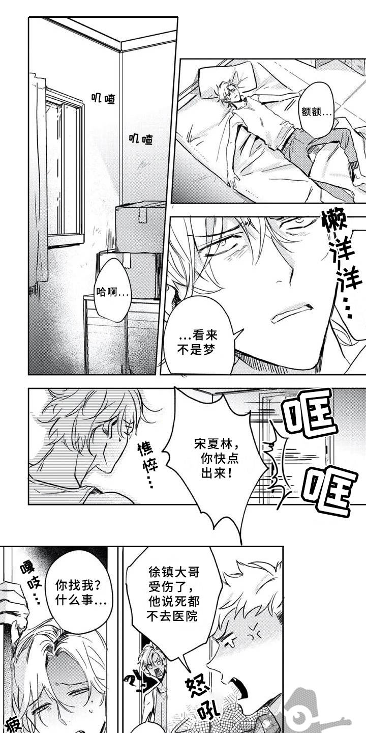 第6章：疗伤0