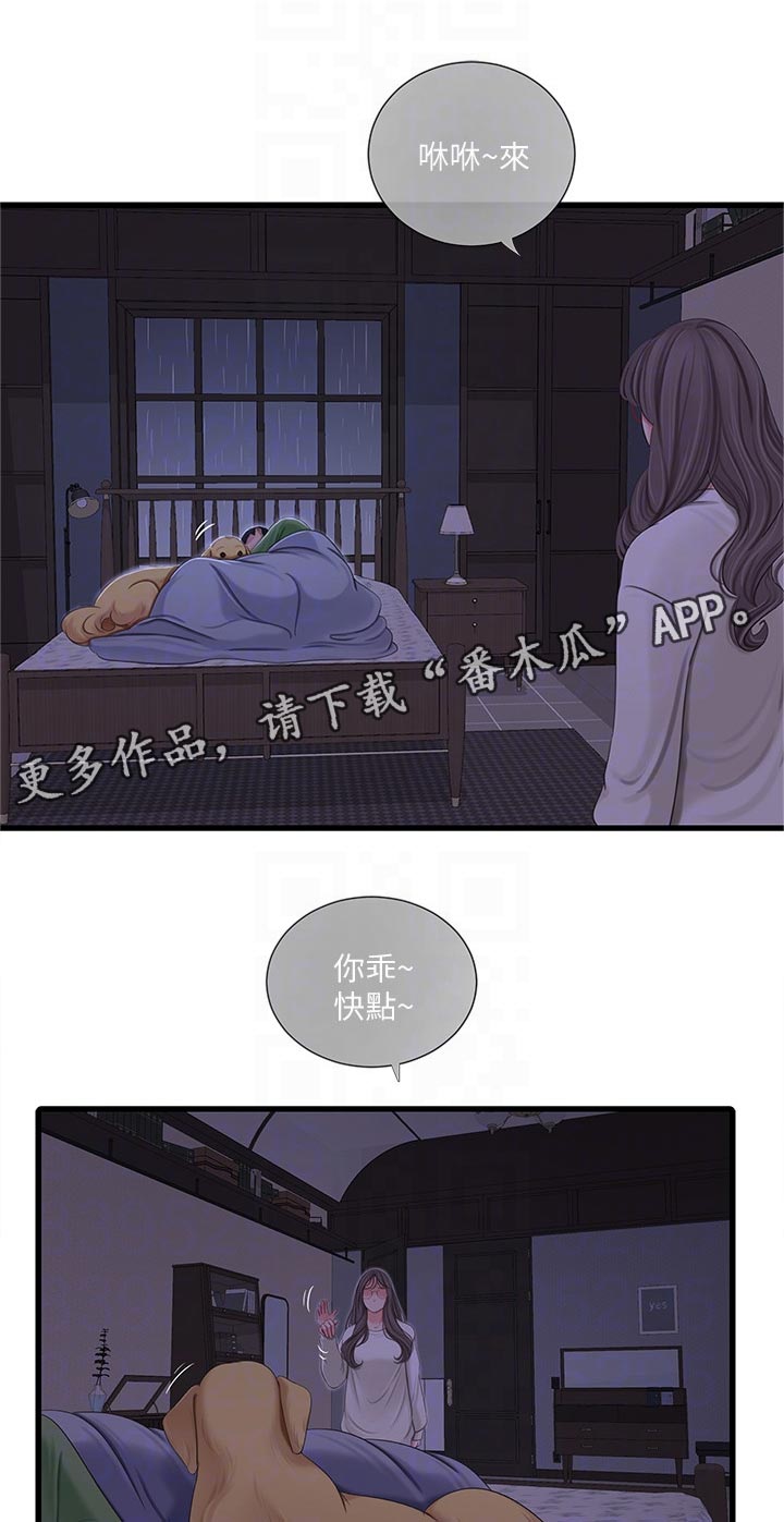 第113章：不听话0